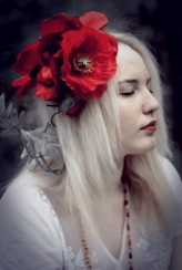 lady_ophelia poppies vol.2

model: Ewelina