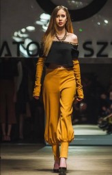 Veronica_D Ambre Fashion Project 2018