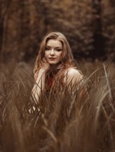 K-MilionFoto