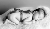just-foto                             Newborn            