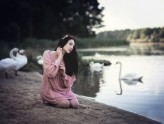 ladyophelia                             swan lake            