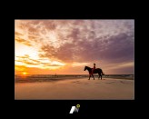 he                             In the dunes            