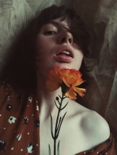 Filistynka            