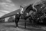 krzysztof_werema Projekt "The horse beauty"