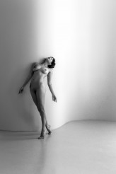 ANIMUS
