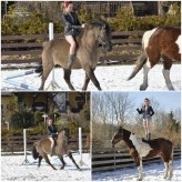mlodaryman                             Niewielki pokaz moich umiejętności jeździeckich, posiadam własne więc ewentualne zdjęcia z końmi nie są problemem /amatorskie            