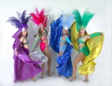 RayH                             dance theme. burlesque,colours. samba,            