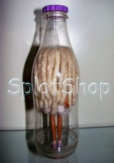 splotshop            