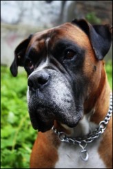 xgellaxx troche to zdj nie pasuje do caloksztaltu ...
ale bardzo je lubie dlatego postanowilam je jednak wstawić;)