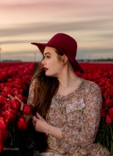 lauras97 Holandia, pole tulipanów