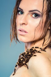 antylopa                             Modelka: LineCaro
Make up: Paulina Jankowska Make Up
Zwierzaki i wsparcie na sesji: EGZONICO            