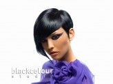 blackcolour Black Colour Studio dla TRENDY Hair Fashion