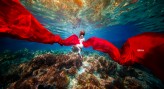 arf Sesja podwodna bielizny firmy Axami na Bali, modelka Krysia
https://www.instagram.com/rafalmakielaphotographer/