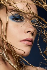 bonitaa                             Make Up: Sylwia Pietrzak
Fot: Emil Kołodziej 
Szkoła Wizażu i Stylizacji Artystyczna Alternatywa            