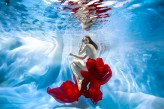 arf Sesja podwodna, modelka Paula
https://www.instagram.com/rafalmakielaphotographer/