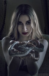 Czar Snakes....
Fot. Magdalena Maria Kownacka