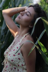 miru                             OLA            