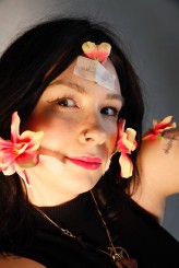 DiabrelleQuenteenOfJansie by Robert M