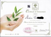 monika03031                             certyfikat z manicure            
