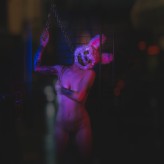 ArcyTV Rabbit 
Model: @KaPe