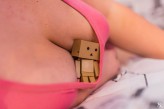 Danbo            