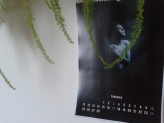 madeleine- kalendarz