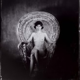 majekp Collodion LF
