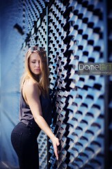 domelart            