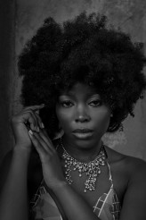 adamgardziewicz                             mod. Terry            