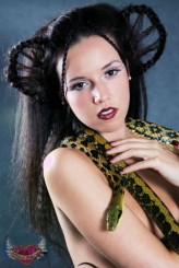 ashlee_ PODZIĘKOWANIA DLA NASZEGO PARTNERA: BAZYLISZEK ZOO, ul. 30-tego Stycznia 2a/2, 66-400 Gorzów Wlkp.
*********MAKIJAŻ,FRYZURA,STYLIZACJA:ASHLEE