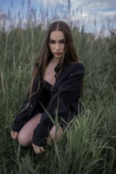 domi_lipska