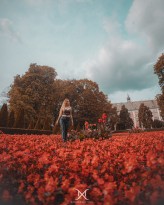 MoonSasha                             A walk among the flowers!
            