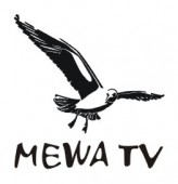 www_mewa-tv_pl