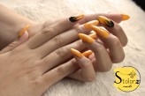 NailsKato                             Zapraszam 50 zł :) za stylizację :)            