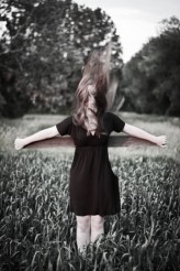 canonsm