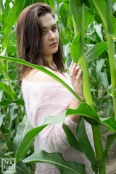 MK-Foto Daria - sesja plenerowa w polu kukurydzy w Małyszynie