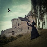 ladyophelia the Raven