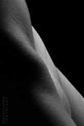 kolodziej_fine_art_nudes                             #zbigniewkolodziej #kolodziej #immagisgallery #artphotography #blackandwhiteportrait #bnw #portrait #szczecin #fineartnudes #artisticnude #artnude #kolodziej_fine_art_nude #kolodziej_art_nude #maxmodelsmax #marioglamour
            