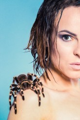 antylopa Modelka: Line Caro
Make up: Paulina Jankowska 
Zwierzaki i wsparcie na sesji: EGZONICO