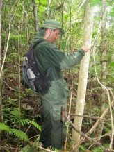 pk75 Praca w lesie deszczowym. Myślisz, że wiesz co to jest upał? Mylisz się :)