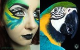 MadamePeacock Parrot