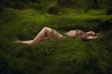 Ingenium_foto