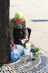 Fotopasjonatka38 Babuszka sprzedająca wiązaneczki kwiatków.