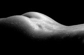 wojtek_c bodyscape