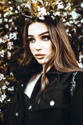 domi_lipska