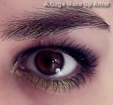 a_make-up Lekkie smoky eye, ze złotym akcentem.