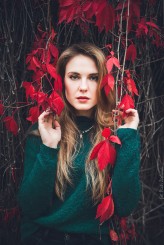 piotreq_z W kolorach jesieni.