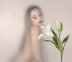 fotofish