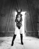 jakafotografia Black Bunny