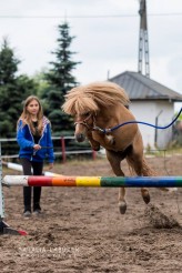 ojheartland Do dyspozycji posiadam 20 spokojnych koni od małych kucyków przystosowanych do pracy z dziećmi po duże konie dla dorosłych. W stajni są także dwa osły, owce, kozy, świnka oraz króliki różnych ras. Wszystkie zwierzęta są nauczone obcowania z człowieki